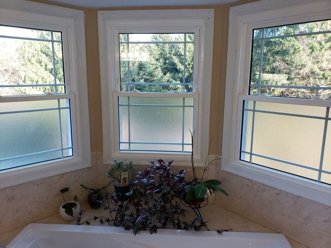 DOUBLE HUNG WINDOWS