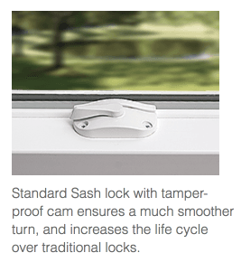 Window Fact