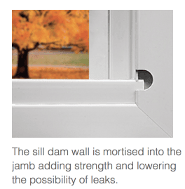 Window Fact